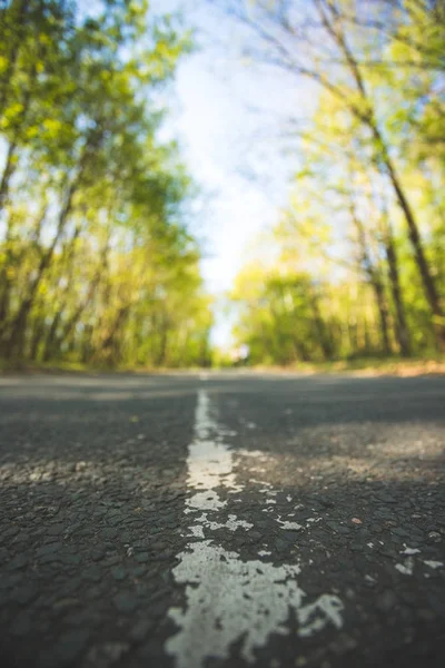 Reise oder Abenteuer: Nahaufnahme einer Straße, Wald im Wald — Stockfoto