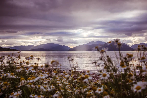 Mystic landscape lake scenery in Scotland: Cloudy sky, flowers a