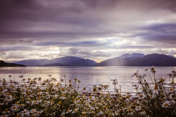 Mystic landscape lake scenery in Scotland: Cloudy sky, flowers a