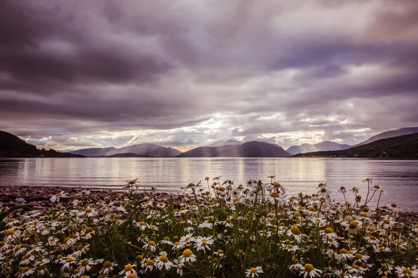 Mystic landscape lake scenery in Scotland: Cloudy sky, flowers a
