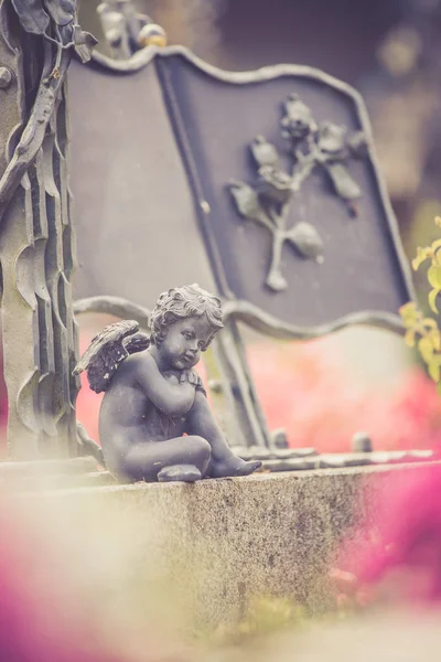 Angyal a temetőben, sírban nyitott könyv ki a vas-és Rózsa, — Stock Fotó