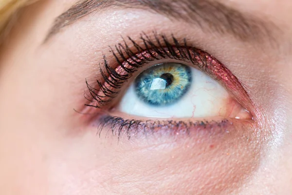 Ženský modrý oko s krásnou make-up, zblízka — Stock fotografie