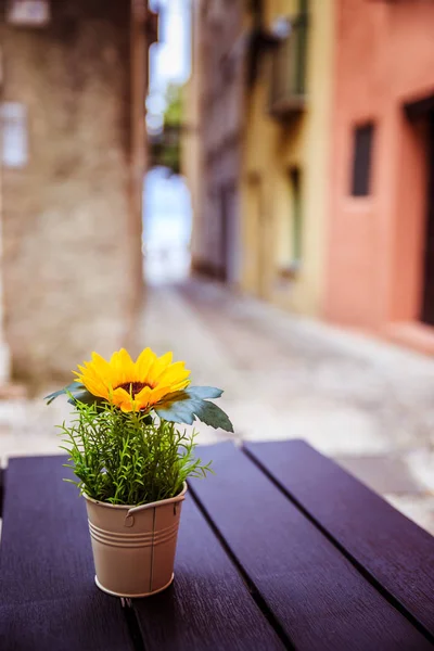 Süße kleine Sonnenblume auf dem Tisch eines Restaurants, Italien — Stockfoto