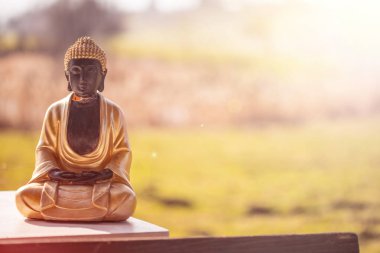 Hindistan'da Buda heykeli: Gevşeme, denge ve maneviyat. 