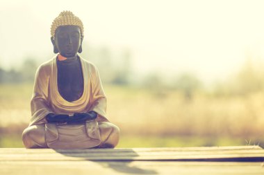 Hindistan'da Buda heykeli: Gevşeme, denge ve maneviyat. 