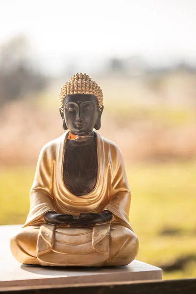 Estatua de Buda en la India: Relajación, equilibrio y espiritualidad . —  Fotos de Stock