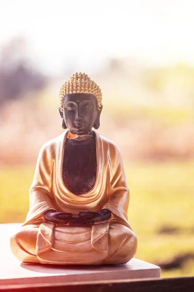 Estatua de Buda en la India: Relajación, equilibrio y espiritualidad . —  Fotos de Stock
