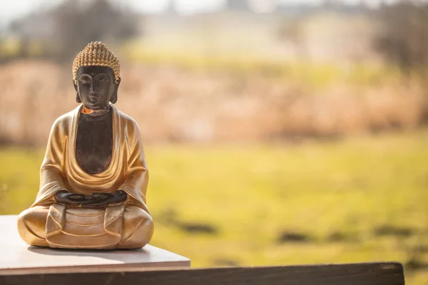 Boeddhabeeld in India: ontspanning, evenwicht en spiritualiteit. — Stockfoto