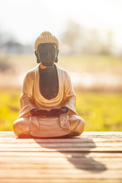 Estatua de Buda en la India: Relajación, equilibrio y espiritualidad . —  Fotos de Stock