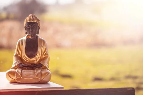 Estatua de Buda en la India: Relajación, equilibrio y espiritualidad . —  Fotos de Stock