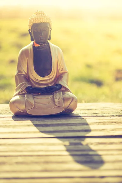 Boeddhabeeld in India: ontspanning, evenwicht en spiritualiteit. — Stockfoto