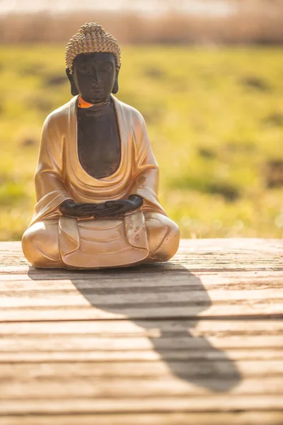 Estatua de Buda en la India: Relajación, equilibrio y espiritualidad . —  Fotos de Stock