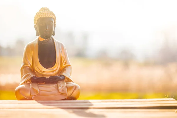 Estatua de Buda en la India: Relajación, equilibrio y espiritualidad . —  Fotos de Stock