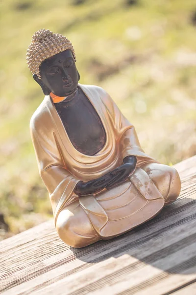 Estatua de Buda en la India: Relajación, equilibrio y espiritualidad . —  Fotos de Stock