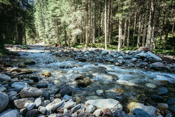 アルプスの自然景観:川と木材の土地 — ストック写真