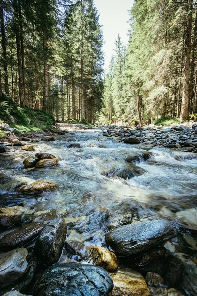 Природа пейзаж в Альпах: річка і тітіланд — стокове фото