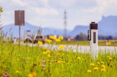 Yaz aylarında Yol: reflektör sonrası, çiçekler ve yeşil çim