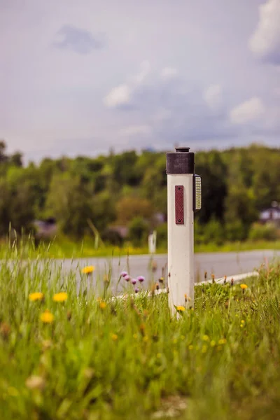Väg på sommaren: reflektor stolpe, blommor och grönt gräs — Stockfoto