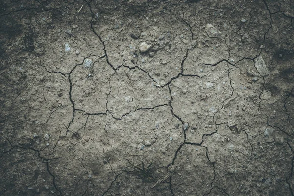 Droogte in de zomer: gebroken grond op landbouwgebied — Stockfoto