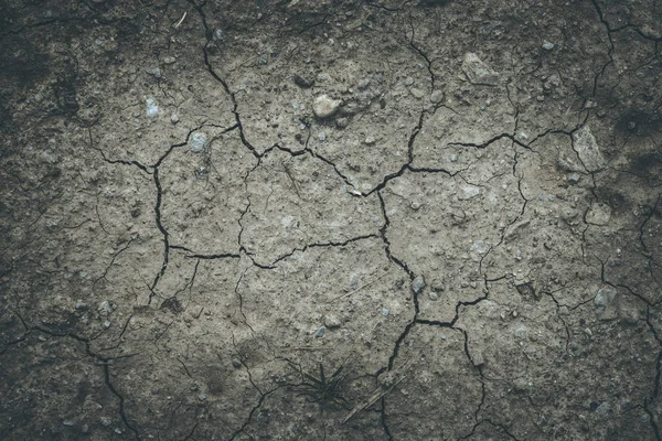 Sécheresse en été : terrain fracturé sur un champ agricole — Photo