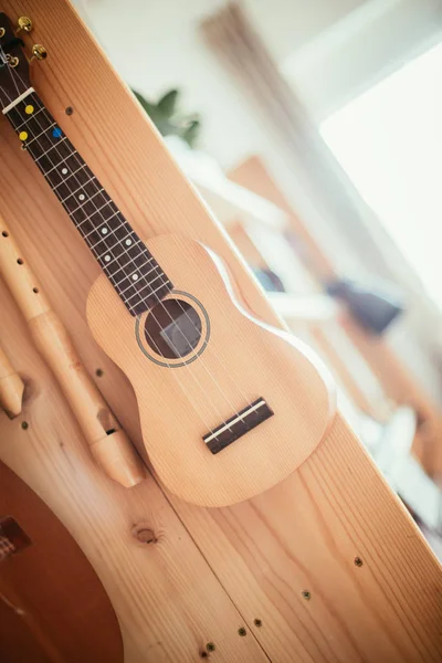 Ukulele: zbliżenie ukulele i flety, gotowy do gry, wiszące — Zdjęcie stockowe