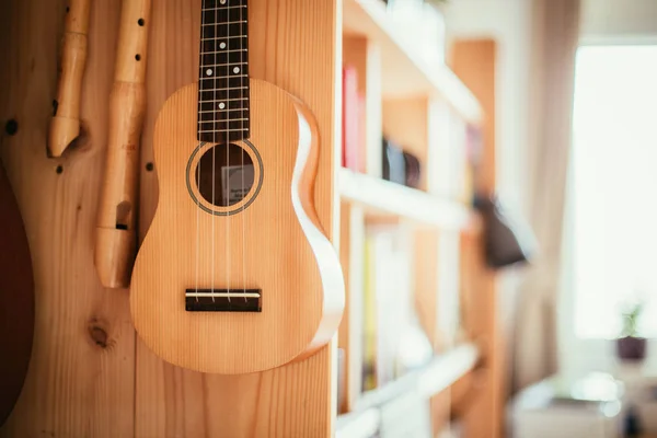 Ukulele : Gros plan sur ukulélé et flûtes, prêt à jouer, suspendu — Photo