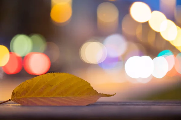 Colorful leaf in the foreground, light dots in the background. E — Stock Photo, Image