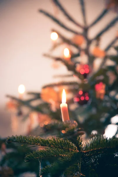 Traditionele kerstboom met kerst decoratie, avond — Stockfoto