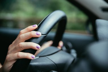 Sports car steering wheel, hands of a young girl with purple nai clipart