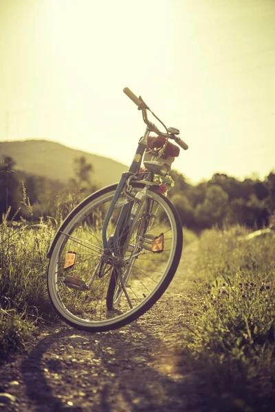 Sundown scenery on a field: Blue bike and meadow