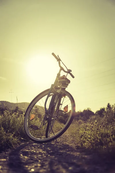 Sundown táj a területen: kék kerékpáros és rét — Stock Fotó