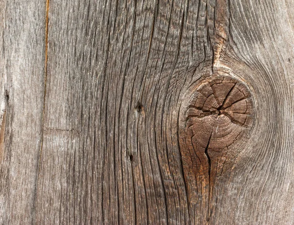 Класична текстура дерев'яного фону: крупним планом старі дерев'яні дошки — стокове фото