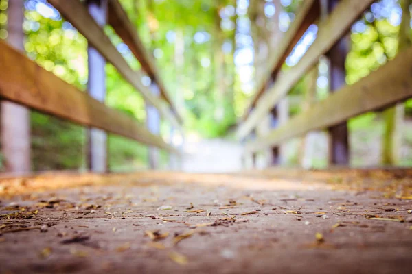 Abenteuerreise, Selbstfindung: Holzbrücke im Wald, — Stockfoto