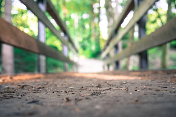 Viaje de aventuras, autodescubrimiento: Puente de madera en el bosque , — Foto de Stock