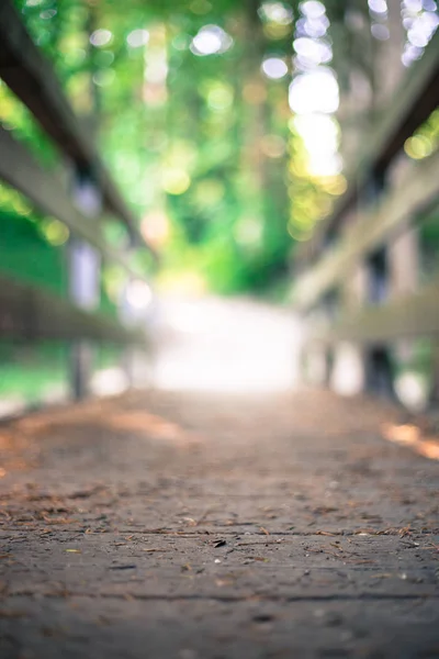 Abenteuerreise, Selbstfindung: Holzbrücke im Wald, — Stockfoto