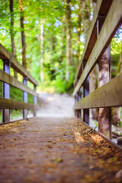 Viaje de aventuras, autodescubrimiento: Puente de madera en el bosque , — Foto de Stock