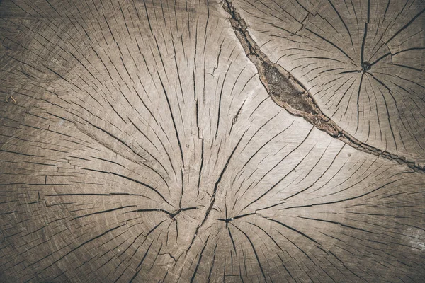 Wooden background image: tree stump, close up — Stock Photo, Image