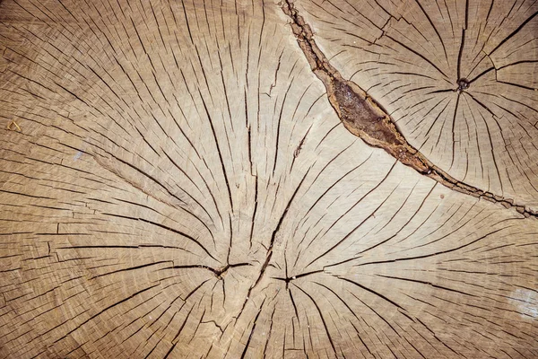 Wooden background image: tree stump, close up — Stock Photo, Image