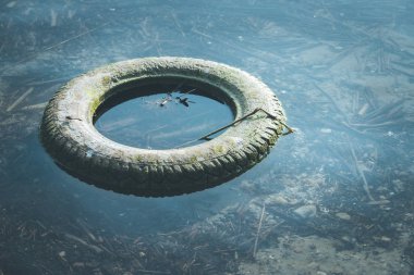 Çevre kirliliği: Eski lastik suda yatıyor, sahilli