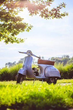 Yaz saati gençlik kültürü: mavi scooter çayır park ediyor