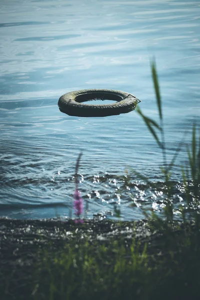 Environmental pollution: old tyre is lying in the water, coastli — Stock Photo, Image