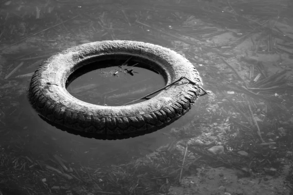 Milieuvervuiling: oude band ligt in het water, coastli — Stockfoto