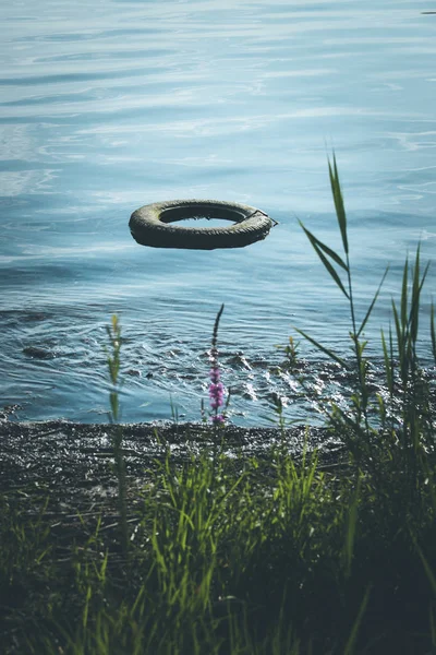 Environmental pollution: old tyre is lying in the water, coastli — Stock Photo, Image