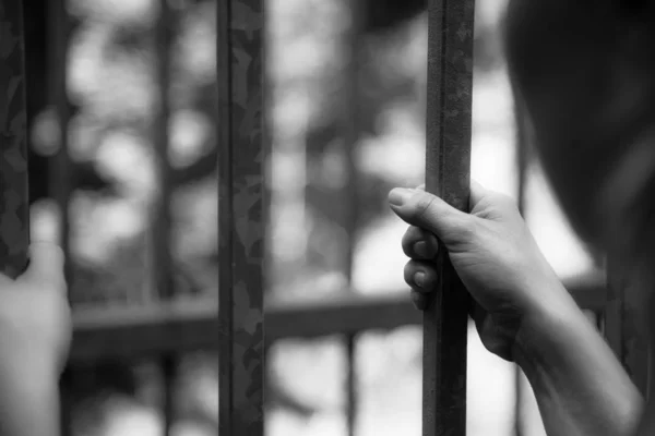 Cela da prisão: Fechar as mãos na prisão — Fotografia de Stock