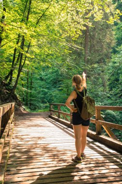 pastoral bir ormanda yürüyüş: genç kız ahşap üzerinde duruyor 