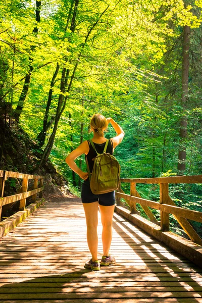 Senderismo en un bosque idílico: La joven está de pie sobre una madera — Foto de Stock