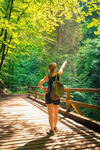 Senderismo en un bosque idílico: La joven está de pie sobre una madera —  Fotos de Stock