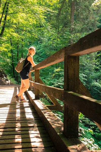 Senderismo en un bosque idílico: La joven está de pie sobre una madera —  Fotos de Stock