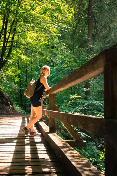 Hiking in an idyllic forest: Young girl is standing on a wooden — Stock Photo, Image