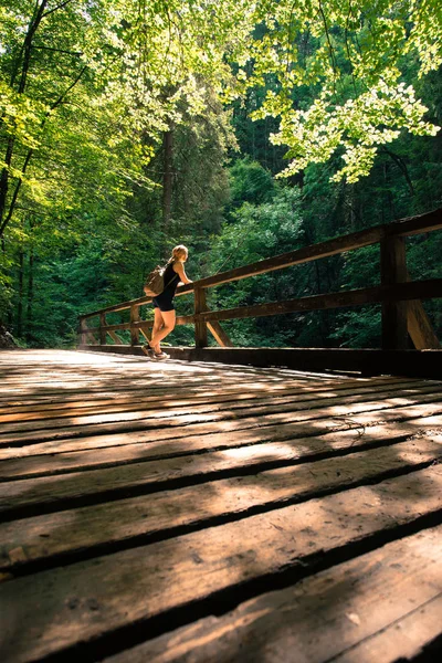 Senderismo en un bosque idílico: La joven está de pie sobre una madera — Foto de Stock